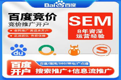 专业网站SEM托管服务案例展示